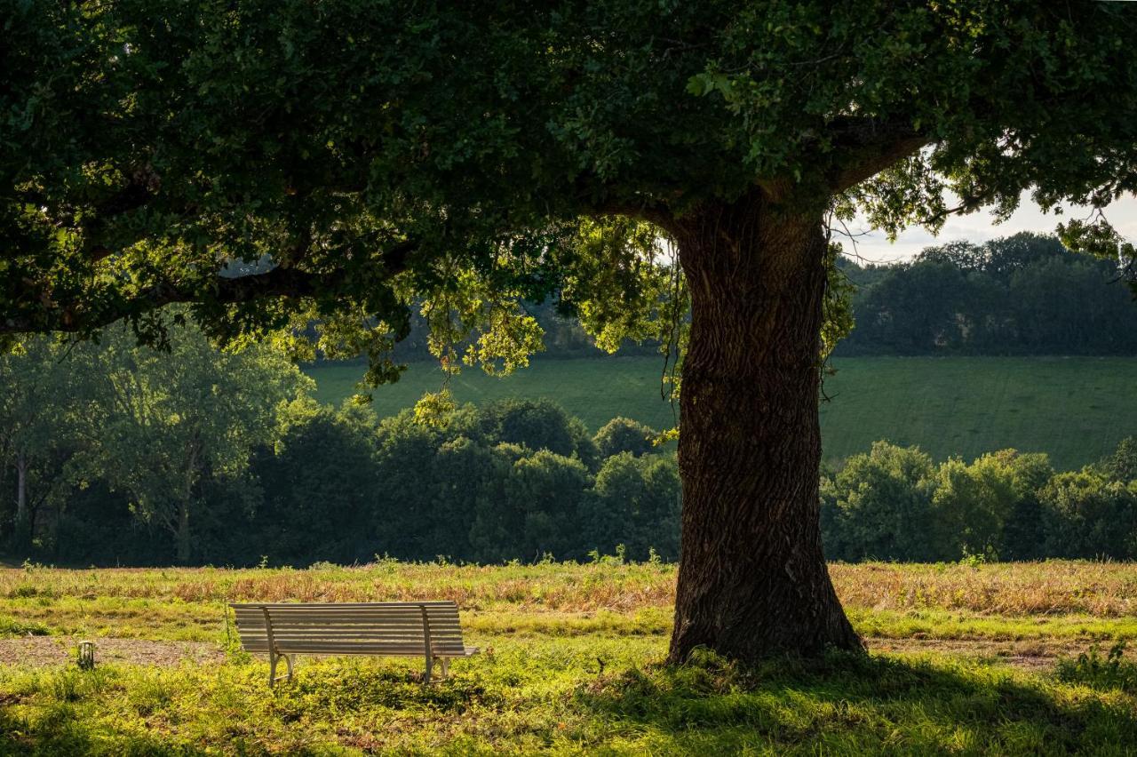 Plaisir, nature et calme Flere-la-Riviere Extérieur photo