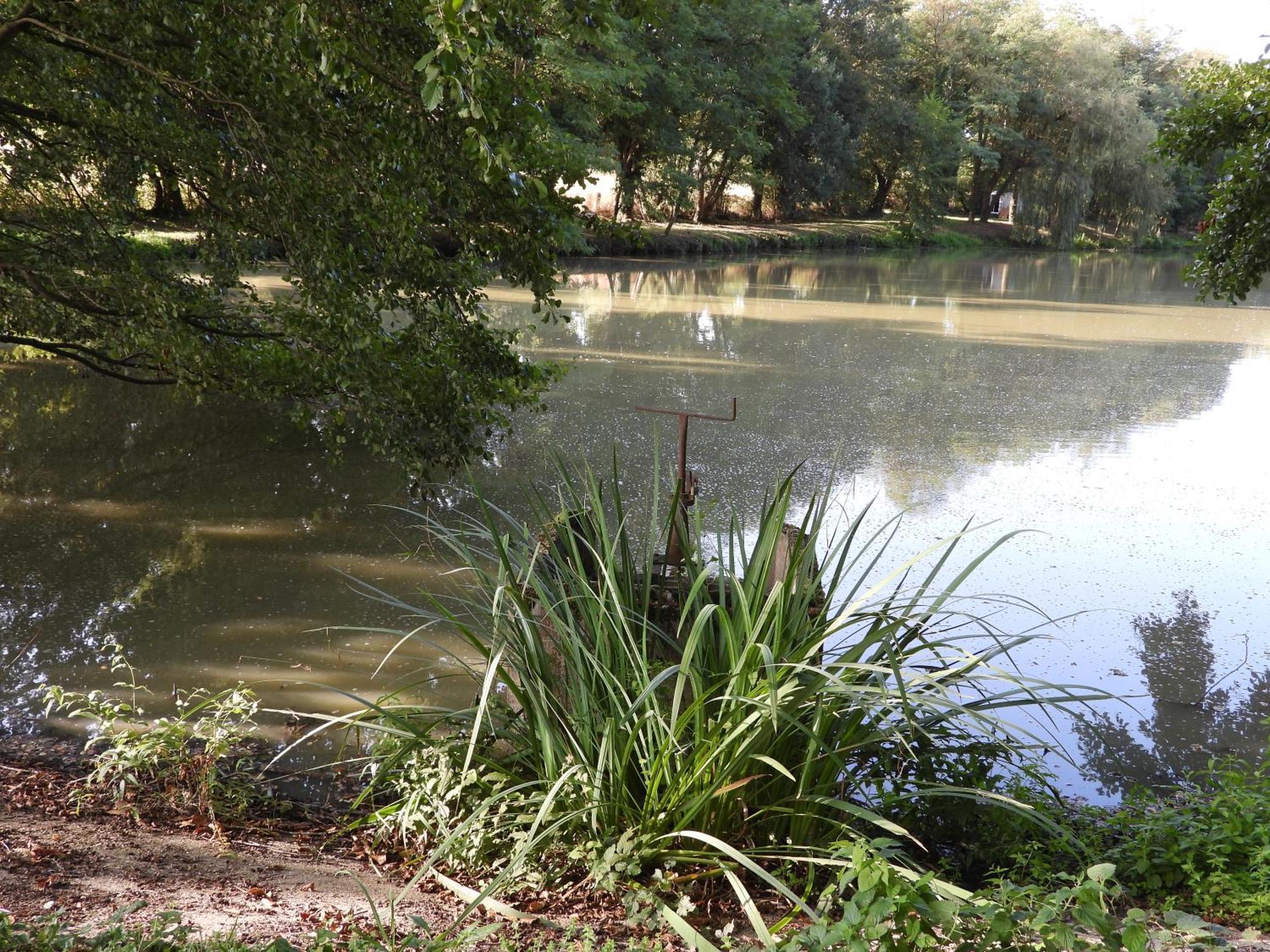 Plaisir, nature et calme Flere-la-Riviere Extérieur photo
