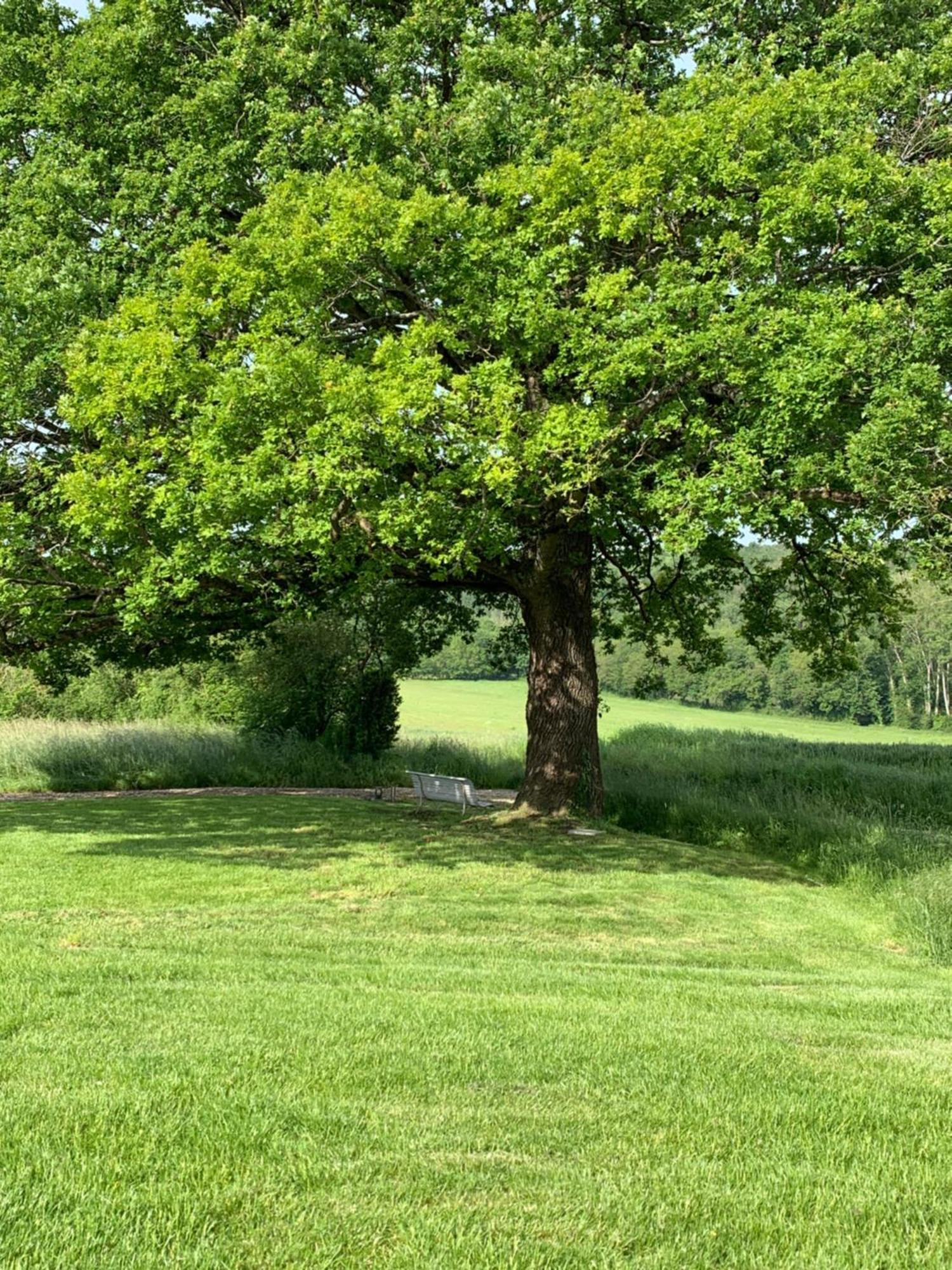Plaisir, nature et calme Flere-la-Riviere Chambre photo
